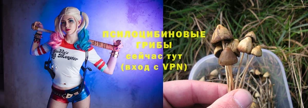 мдма Гусев