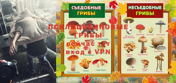 амфетамин Гусь-Хрустальный