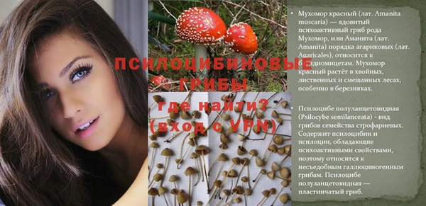мдма Гусев