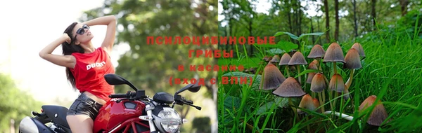 амфетамин Гусь-Хрустальный